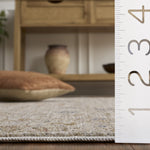 WHITNEY 726 – IVORY