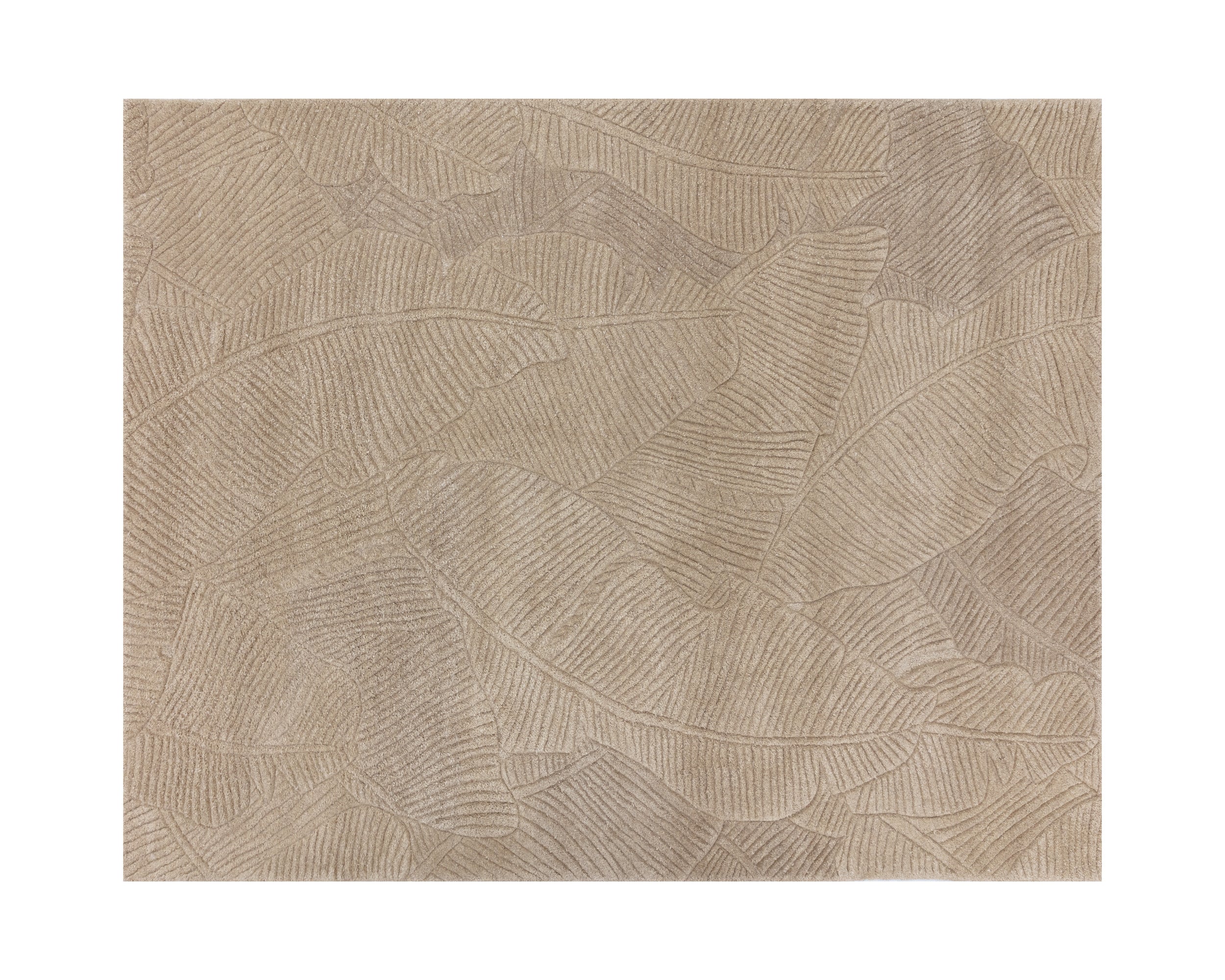 Calathea HandTufted Rug -