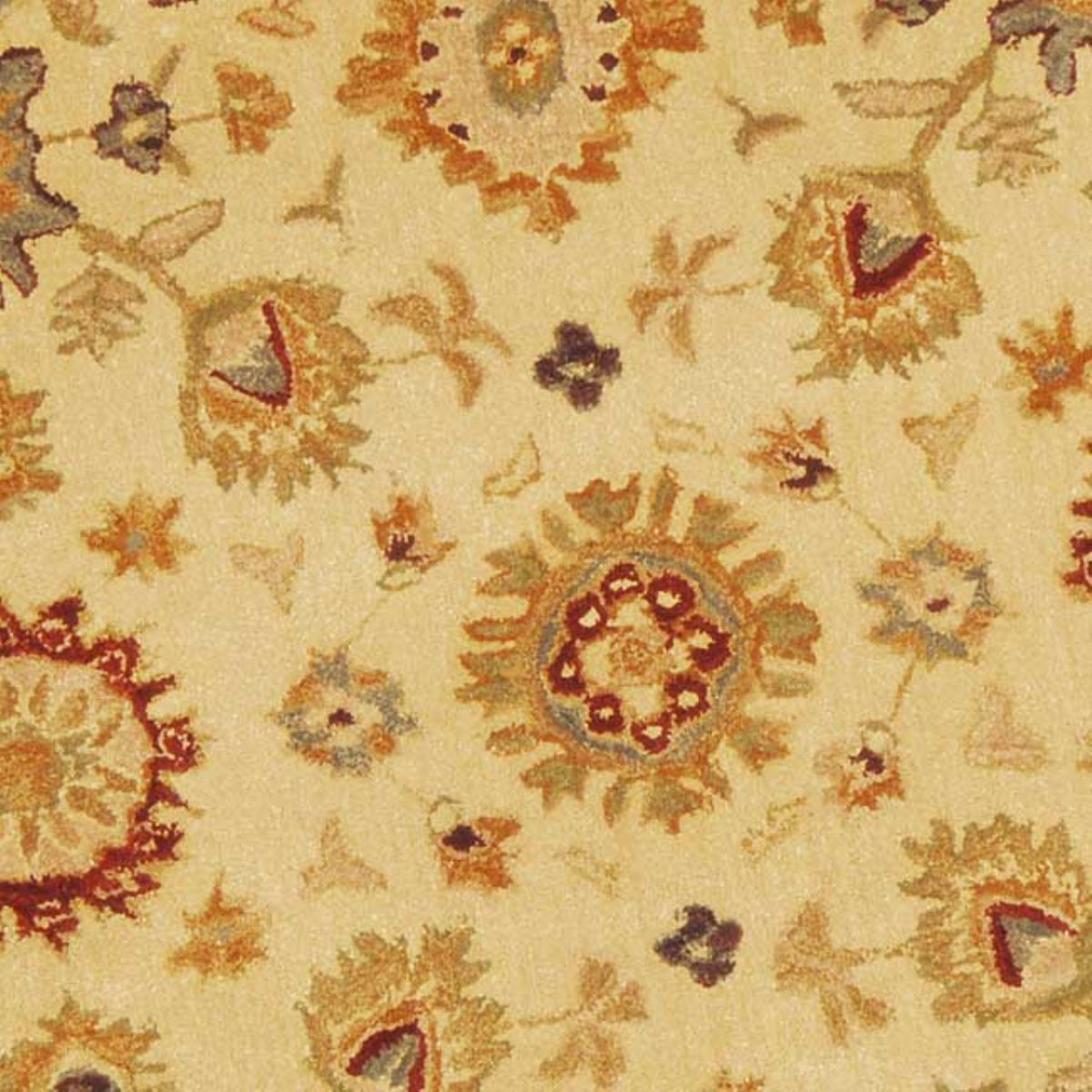 IVORY / BROWN