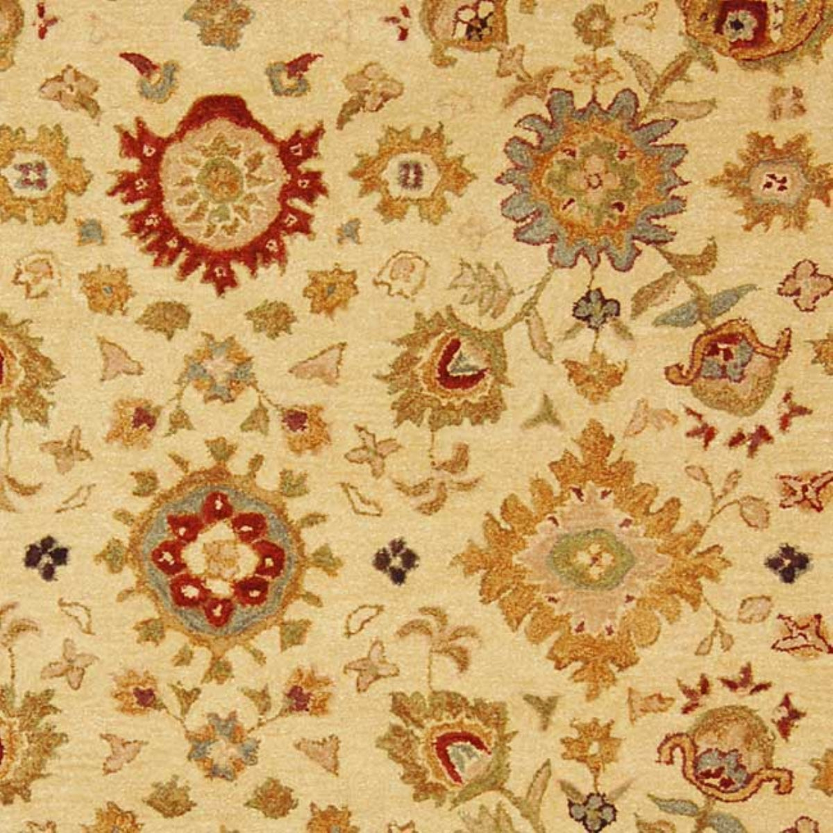 IVORY / BROWN