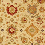 IVORY / BROWN