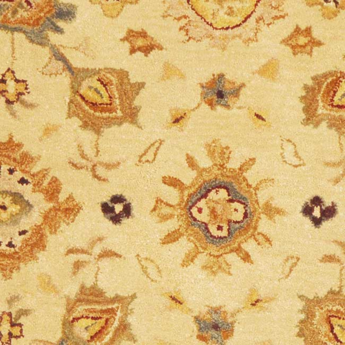 IVORY / GOLD