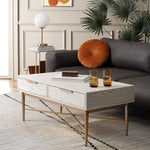 Safavieh Pierre 2 Drawer Coffee Table, COF6404 - White Washed / Gold