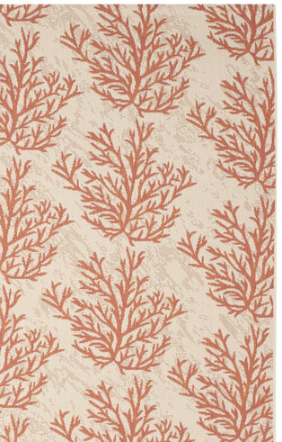 BEIGE / TERRACOTTA