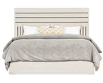White/Cream/Beige
