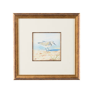 Chelsea House Sand Piper VI - 386550