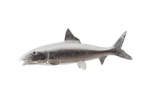 Phillips Collection - Bonefish Wall Sculpture, Resin, Silver Leaf - PH66835
