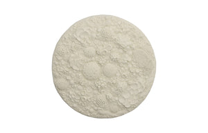 Phillips Collection - Coral Reef Wall Art, Round - PH112039