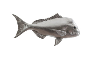 Phillips Collection - Australian Snapper Fish Wall Sculpture, Resin, Silver Leaf - PH64555