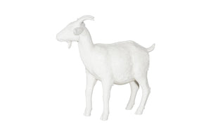 Phillips Collection - Goat, Off White - PH60872