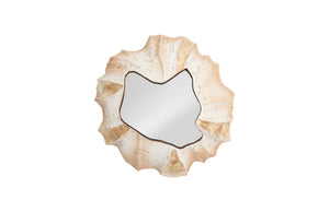 Phillips Collection - Barnacle Wall Art - PH75346