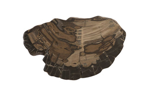 Phillips Collection - Cast Petrified Wood Wall Tile, Resin - PH94505