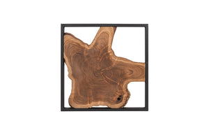 Phillips Collection - Framed Slice Wall Tile, Teak Wood, Black Frame - ID65155
