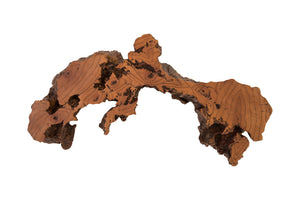 Phillips Collection - Burled Root Wall Art, Medium, Faux Bois Finish - PH83681