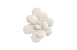 Phillips Collection - Oviferum Succulent Wall Art , White Stone - PH104154