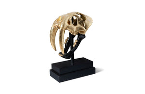 Phillips Collection - Saber Tooth Tiger Skull, Black, Gold Leaf - PH67580