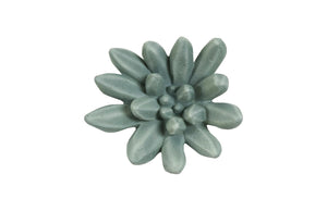 Phillips Collection - Compactum Succulent Wall Art, Forest - PH104157