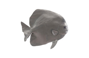 Phillips Collection - Australian Bat Fish Wall Sculpture, Resin, Polished Aluminum Finish - PH64558