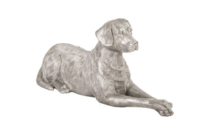 Phillips Collection - Labrador, Laying, Silver Leaf - PH81459