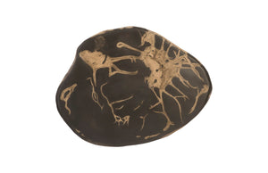 Phillips Collection - Cast Petrified Wood Wall Tile, Resin - PH94507
