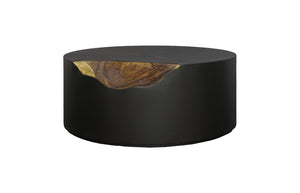Phillips Collection - Cornered Coffee Table, Natural, Iron, Round - TH110324