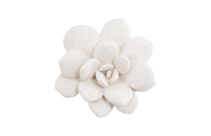 Phillips Collection - Laui Succulent Wall Art, White Stone - PH104150