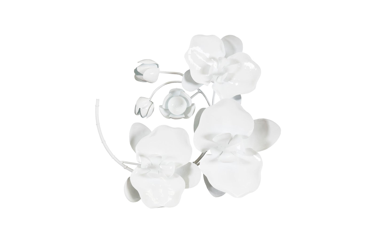 Phillips Collection Orchid Sprig Wall Art