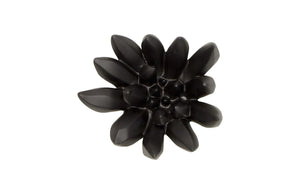 Phillips Collection - Compactum Succulent Wall Art , SMooth Matte Black - PH111560