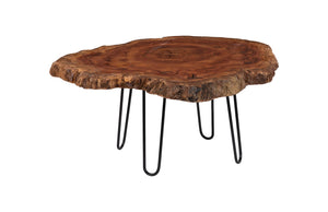 Phillips Collection - Burled Coffee Table, Black Metal Legs, Large - TH93212