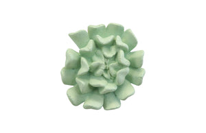 Phillips Collection - Topsy Turvy Succulent Wall Art, Jade - PH104153