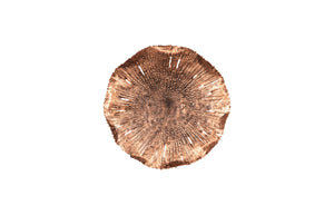 Phillips Collection - Lotus Wall Art, Copper/Black, SM - TH96156