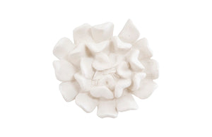 Phillips Collection - Topsy Turvy Succulent Wall Art , White Stone - PH104152