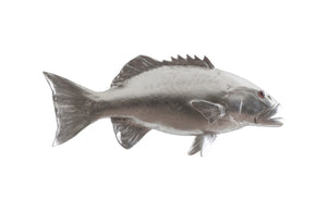 Phillips Collection - Coral Trout Fish Wall Sculpture, Resin, Silver Leaf - PH64543