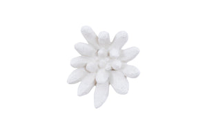 Phillips Collection - Compactum Succulent Wall Art, White Stone - PH104156