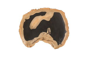 Phillips Collection - Cast Petrified Wood Wall Tile, Resin, Thin - PH92564