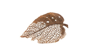 Phillips Collection - Birch Leaf Wall Art, Copper, MD - TH85750