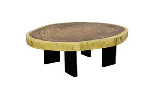 Phillips Collection - Floating Coffee Table With Black Legs, Natural, Size Varies - TH113103