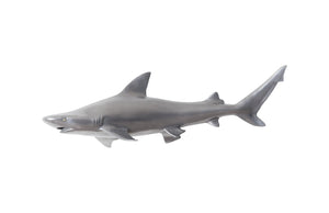 Phillips Collection - Black Tip Reef Shark, Polished Aluminum - PH65284