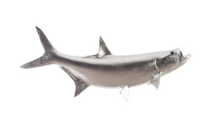 Phillips Collection - Tarpon Fish Wall Sculpture, Resin, Silver Leaf - PH66834
