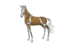 Phillips Collection - Mustang Horse Woodland Sculpture, Standing - ID113404