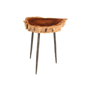 Phillips Collection - Burled Side Table, Forged Legs - TH81211