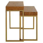 Uttermost Burl-esque Wooden Nesting Tables S/2