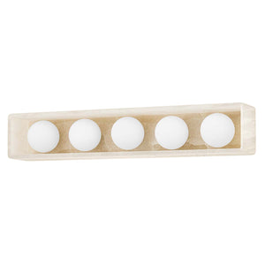 Hudson Valley Lighting Budnick 5 Light Bath Bracket