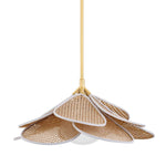 Hudson Valley Lighting Florina 28 1 Light Pendant - Brass