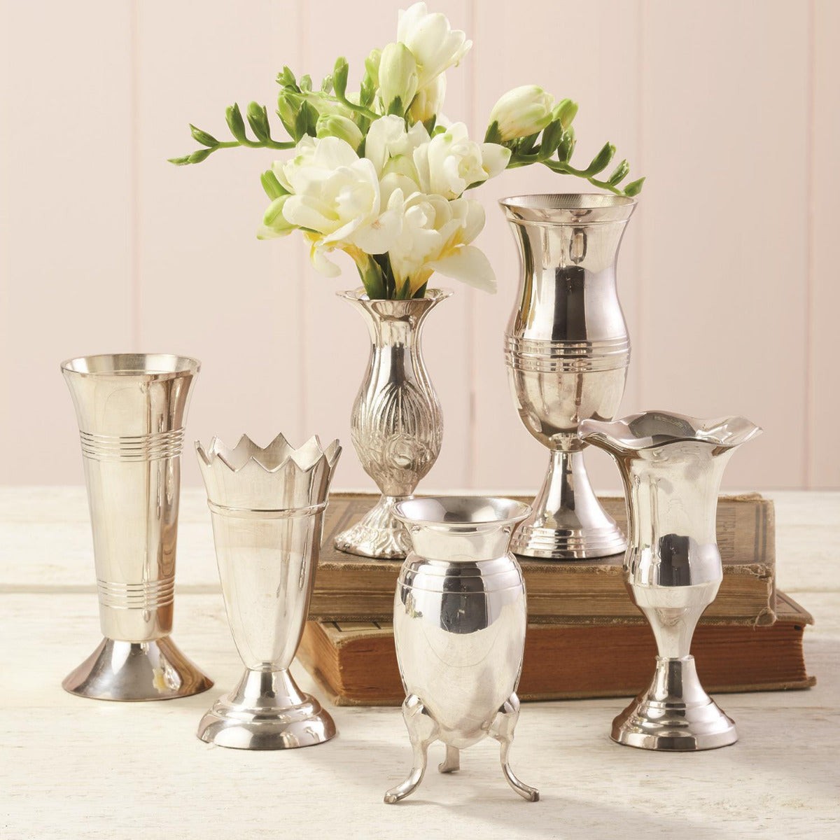 Two's Company Queen Anne's Silver Vases (set of 6)