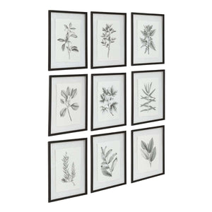 Uttermost Farmhouse Florals Framed Prints, S/9