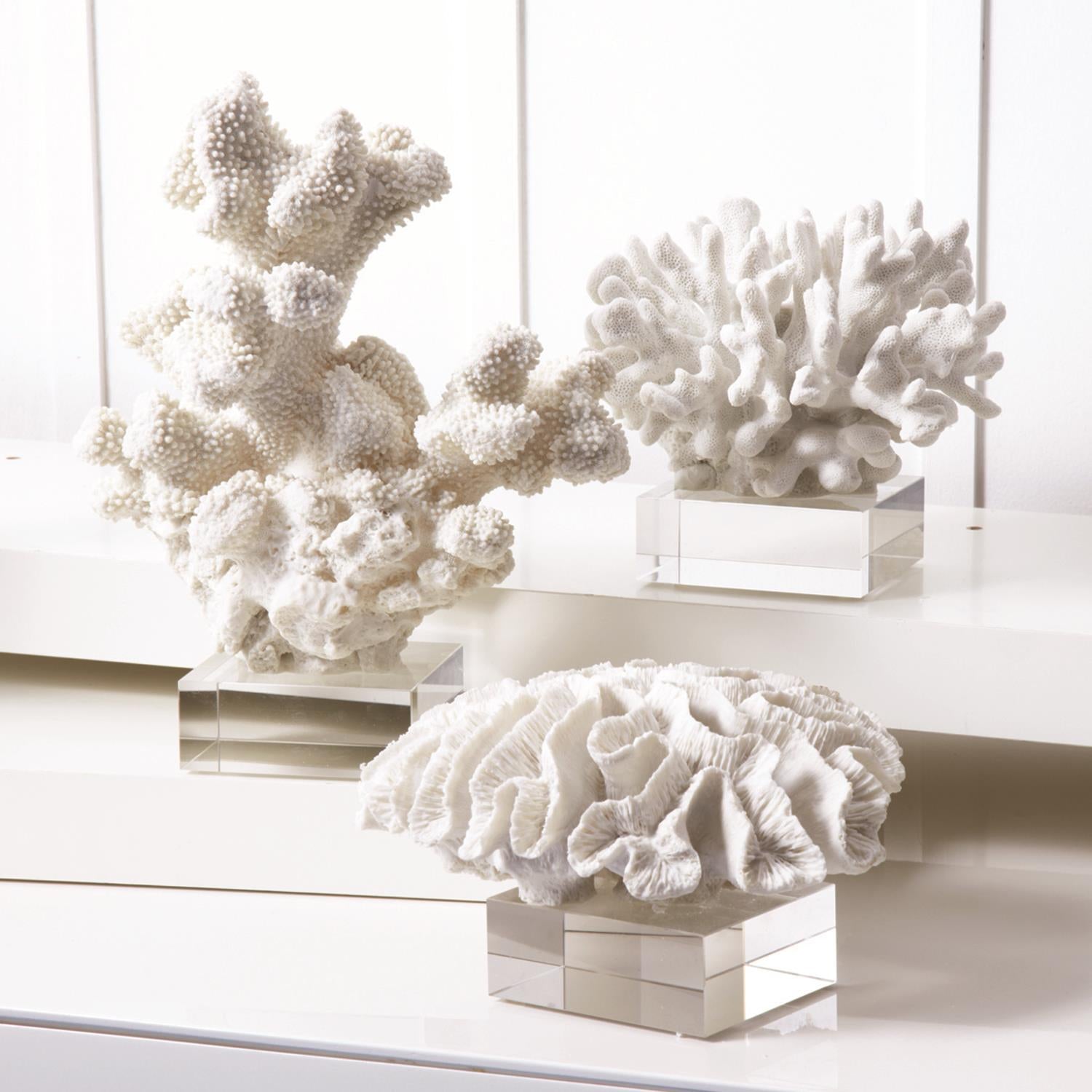 Two's Company Reef White Coral Sculptures on Glass Stand (set of 3)