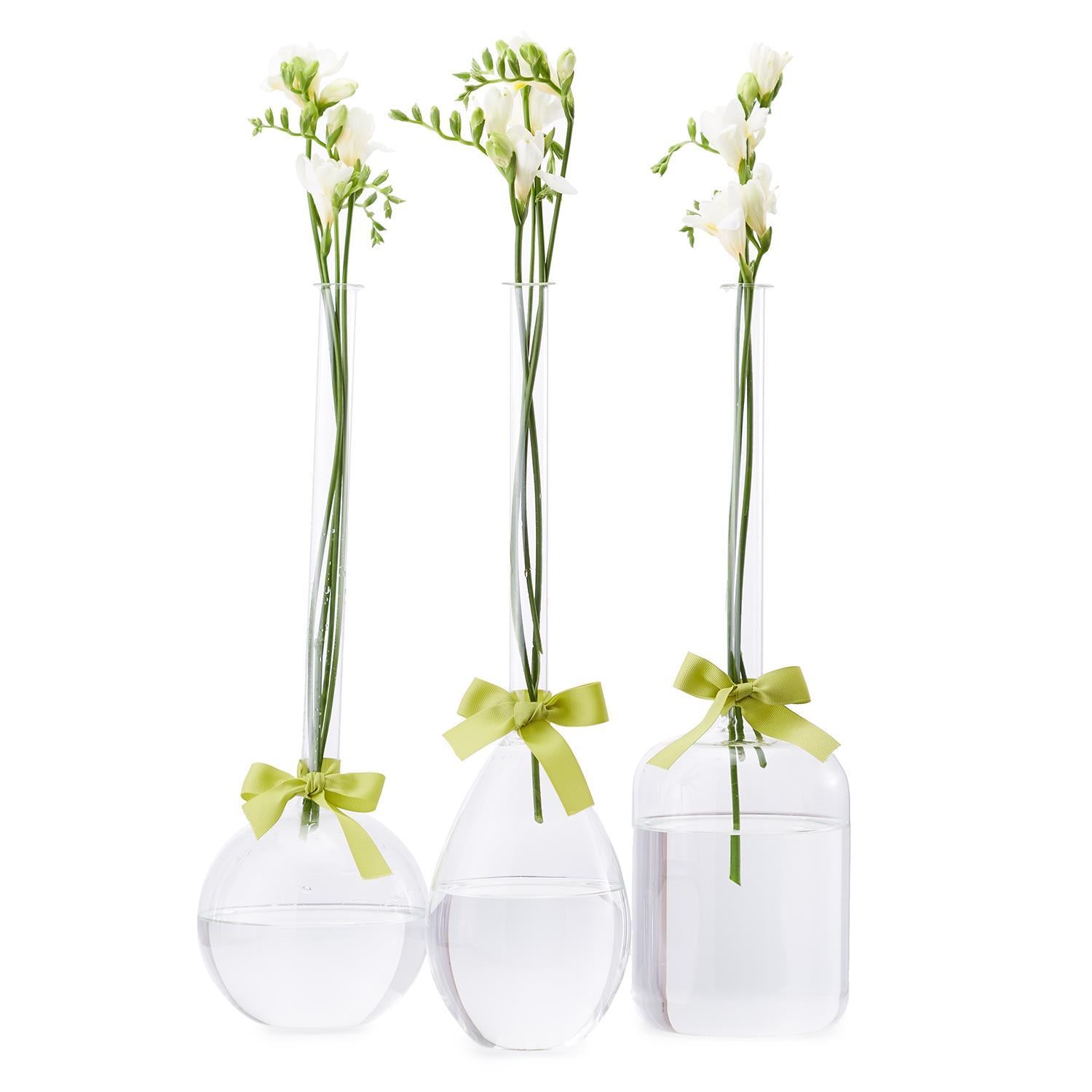 Two's Company Vase Trio with Sage Green Ribbon - Hand-Blown Glass (includes 3 shapes)