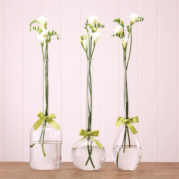 Two's Company Vase Trio with Sage Green Ribbon - Hand-Blown Glass (includes 3 shapes)