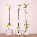 Two's Company Vase Trio with Sage Green Ribbon - Hand-Blown Glass (includes 3 shapes)